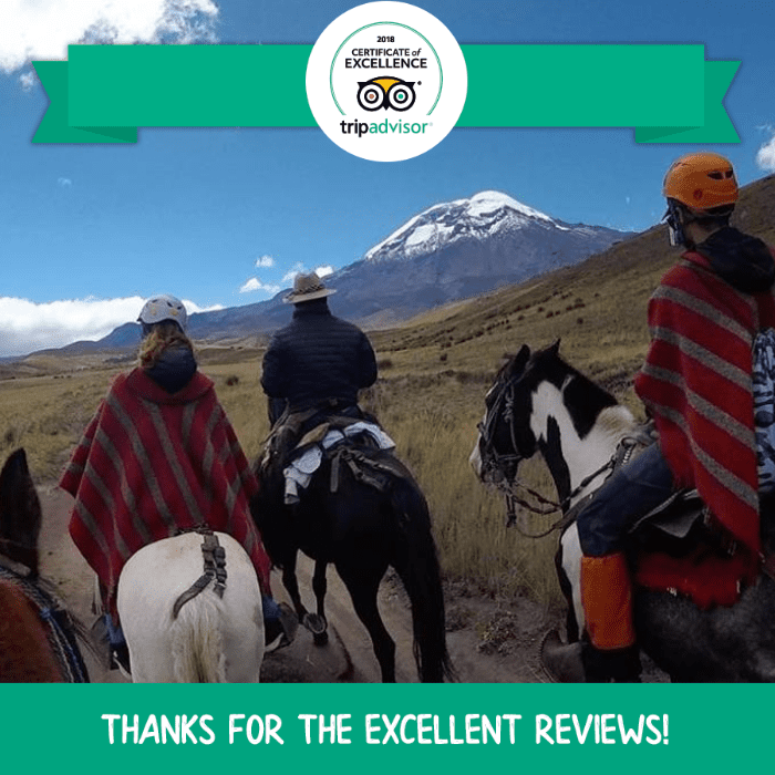 Horseback Riding Chimborazo